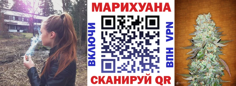 Бошки марихуана Amnesia  Тында 